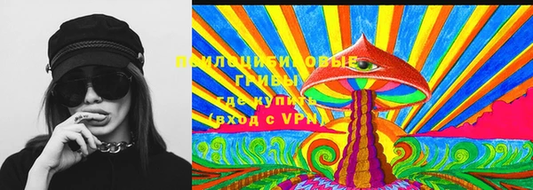 герыч Осинники